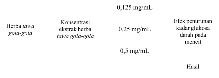 Gambar 4. Konsep Penelitian Efek Ekstrak Tawa Gola-gola (Passiflora foetida  L.) pada Mencit (  Mus musculus  L.)
