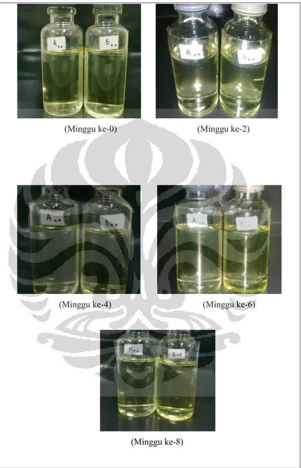 Gambar 4.3   Hasil  pengamatan  organoleptis sediaan  mikroemulsi pada  penyimpanan suhu dingin setiap 2 minggu selama 8 minggu 