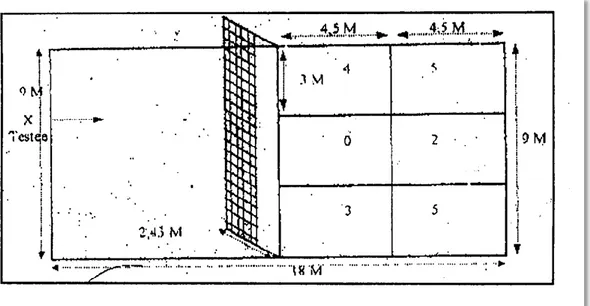 Gambar 10: Petak Sasaran Servis Bola Voli dari Laveage  (Suharno HP, 1979 : 75) 