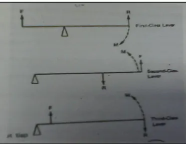 Gambar 10. Sistem pengungkit  M Sajoto (1988:110) 