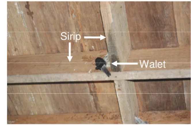Gambar 6  Sirip merupakan papan tambahan yang dipasang menggantung pada  plafon rumah walet