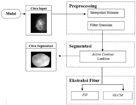 Gambar 1.  Citra mammogram payudara dari BCDR  