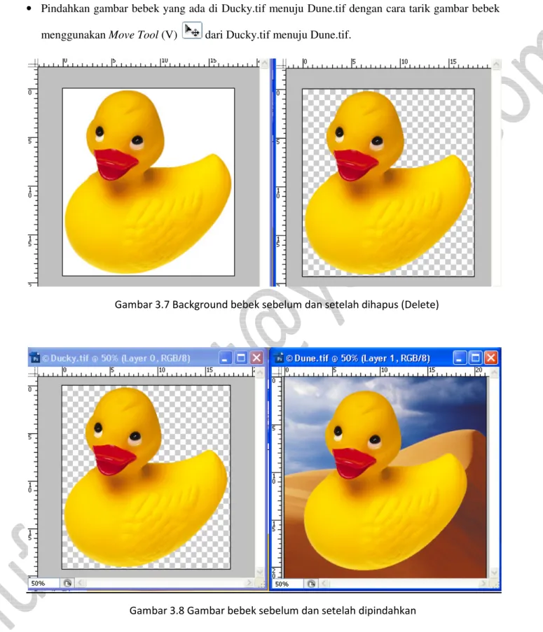 Gambar 3.7 Background bebek sebelum dan setelah dihapus (Delete) 