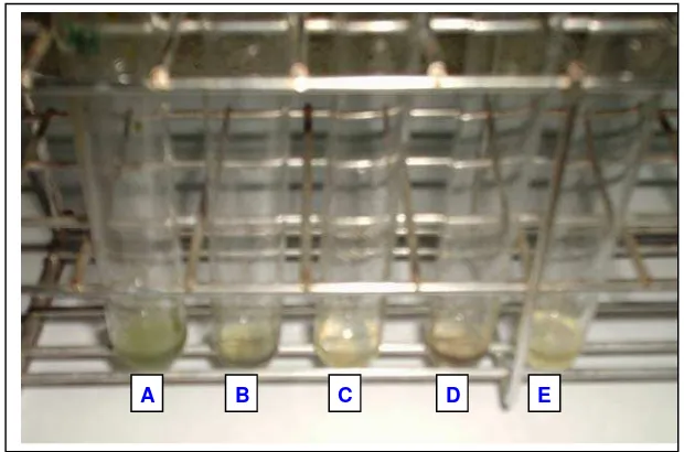 Gambar 8  Perbandingan kualitatif kandungan steroid pada ekstrak aseton   (A dan B), metanol (C), heksan (D) dan etil asetat (E) 