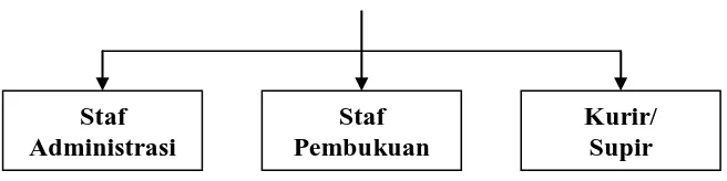 Gambar 3.1 Struktur Organisasi Perusahaan Sumber :  PT. SDE Cabang Medan  