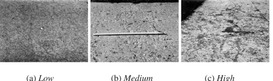 Gambar 19. Tingkat kerusakan Retak susut (shrinkage cracks)