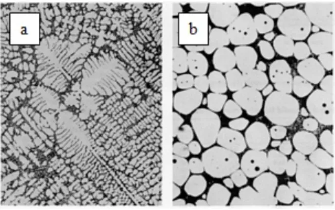 Gambar 2.2 Perbandingan Paduan Aluminium 357 (Al-7Si-0.5Mg). Mikrostruktur Dendritik Dari Pengecoran  Konevensional (a) dan Mikrostruktur Nondendritik Terbentuk Selama Rheocasting atau Thixocasting (b)