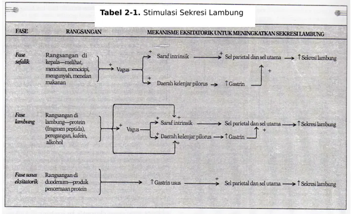 Tabel 2-1. Stimulasi Sekresi Lambung