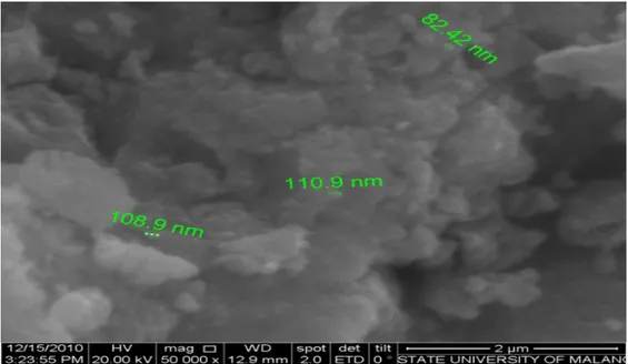 Gambar 2.  Hasil SEM untuk nanokristal Fe 3 O 4  dari hasil sintesa dengan metode  kopresipitasi 
