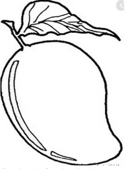 Gambar 4. Gambar buah mangga 