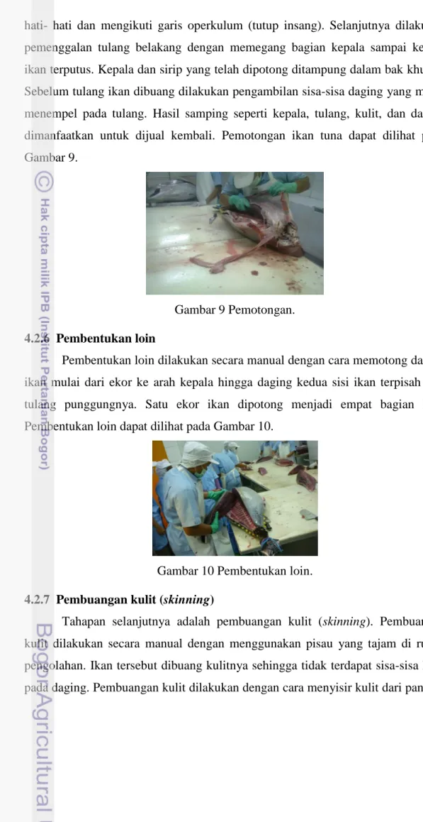 Gambar 9 Pemotongan. 