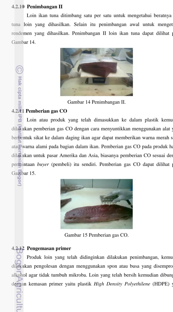 Gambar 14 Penimbangan II. 