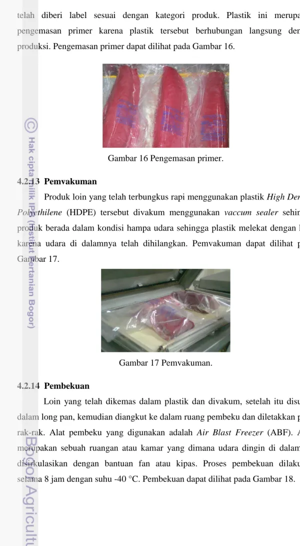 Gambar 16 Pengemasan primer. 