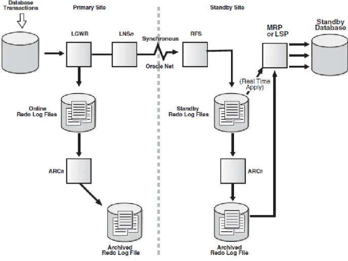 Gambar berikut menunjukkan konfigurasi Data Guard yang  menggunakan proses LGWR untuk mengirimkan redo data secara  synchronous ke sistem standby pada saat yang sama dengan proses  menulis redo data ke online redo log pada primary database