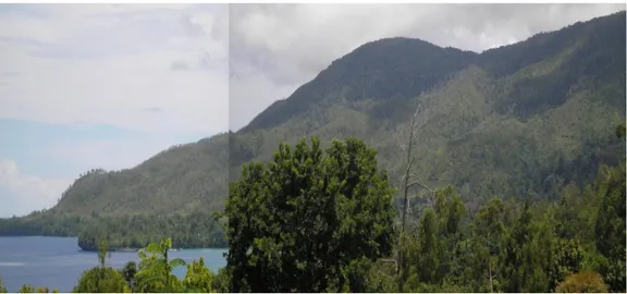 Foto 4.7.  Satuan geomorfik pegunungan, subsatuan Pegunungan yang memperlihatkan morfologi  yang khas , Lokasi Hukurila ,dengan arah foto N235°E