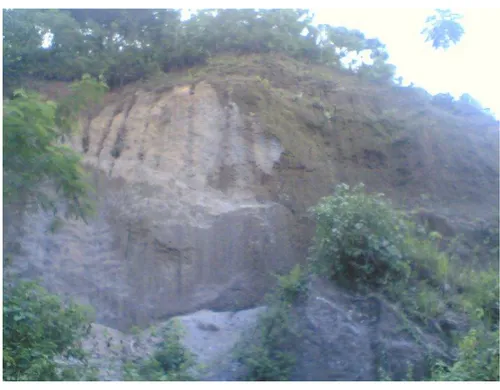 Foto 4.8.  Satuan geomorfik sistem vulkanik, punggungan vulkanik , Lokasi W.Yuri, arah foto N  045°E