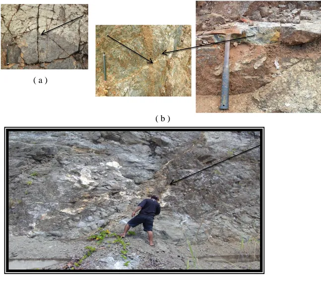Foto  4.  11.  (  a  )  Kenampakan  rekahan-rekahan  yang  terbentuk  pada  batuan  serpentinit  akibat  deformasi  yang  berkembang  pada  daerah  telitian