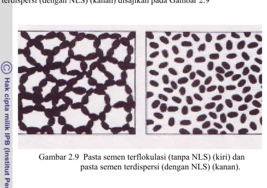 Gambar 2.9  Pasta semen terflokulasi (tanpa NLS) (kiri) dan                               pasta semen terdispersi (dengan NLS) (kanan)