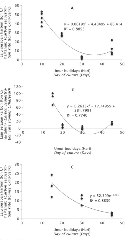 Gambar 3. Model hubungan laju serapan karbon dengan umur budidaya rumput laut K.
