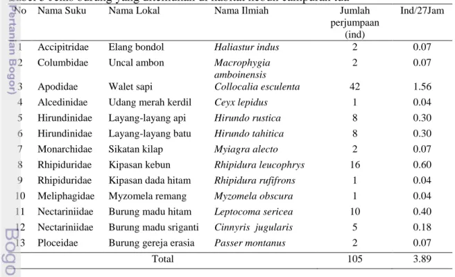 Tabel 5 Jenis burung yang ditemukan di habitat kebun campuran tua 