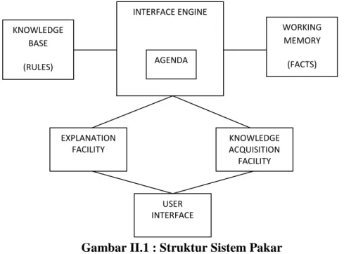 Gambar II.1 : Struktur Sistem Pakar  Sumber : Rika Rosnelly (2012 : 13) 