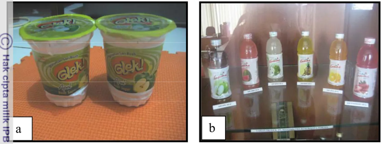 Gambar 7. Produk Olahan Apel; (a) Sari Buah   Wadah, (b) Sari Buah      dalam Botol  