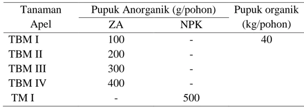 Tabel 3. Dosis Pupuk Apel per aplikasi di Kusuma Agrowisata  Tanaman 