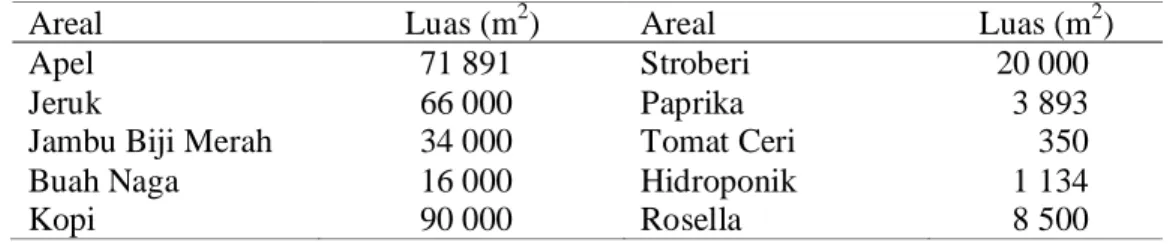 Tabel 2. Luas Areal Budidaya Tanaman di PT. Kusuma Agrowisata 