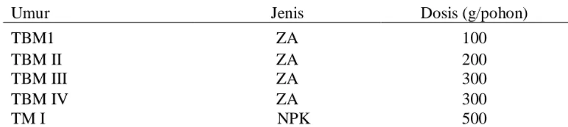 Tabel  6  menunjukkan  jenis  dan  dosis  pupuk  padat  yang  diberikan  pada  tanaman