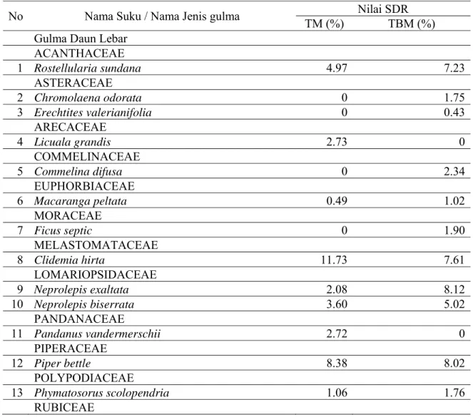 Tabel 2. Merupakan Tabel nilai SDR  pada kedua stadium tanaman menghasilkan  (TM) dan stadium tanaman belum  menghasilkan (TBM)