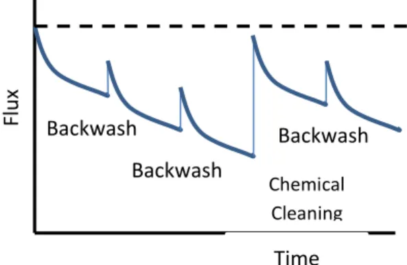 Gambar  9.  Nilai  fluks  terhadap  waktu  setelah  dilakukan  backwash.  (I.G.  Wenten  Lecture  Note) 