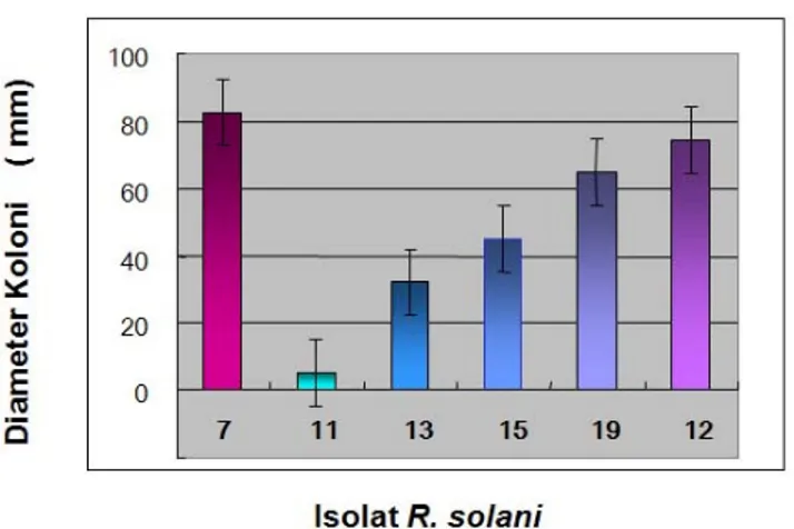 Gambar  3.  Hasil  quantitatif  dari  uji  virulensi.  Masing-masing  isolat  R.  solani  diinokulasikan  pada  buah  apel  lalu  diinkubasikan  pada  suhu  ruang