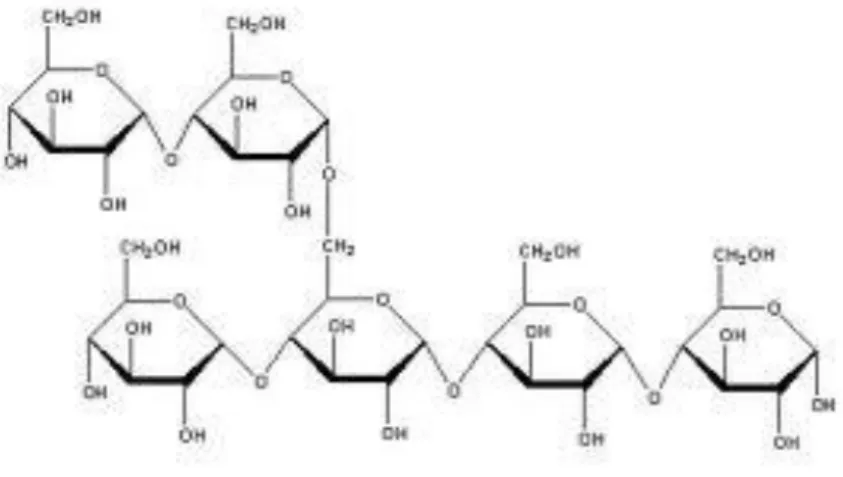 Gambar 2.2. Struktur molekul pati 