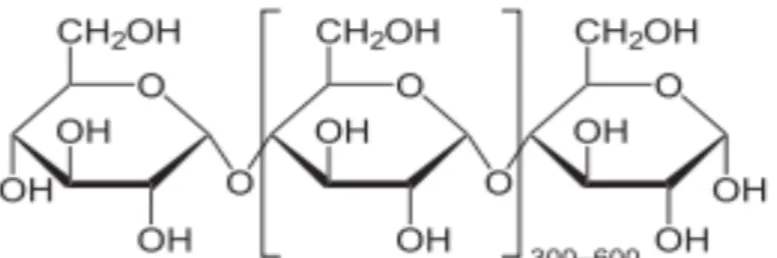 Gambar 2.4. Struktur molekul amilosa bentuk helix  [http://www.warren.usyd.edu.au/bulletin/NO52/ed52art6.htm] 