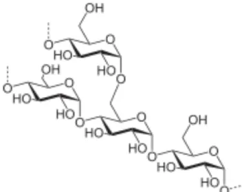 Gambar 2.5. Struktur molekul amilopektin