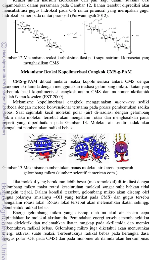 Gambar 12 Mekanisme reaksi karboksimetilasi pati sagu natrium kloroasetat yang  menghasilkan CMS  