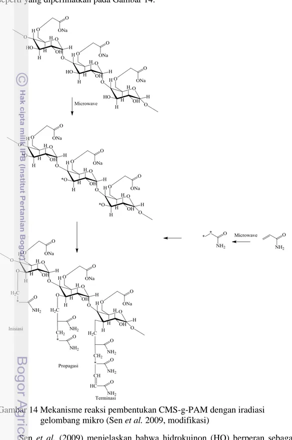 Gambar 14 Mekanisme reaksi pembentukan CMS-g-PAM dengan iradiasi  gelombang mikro (Sen et al