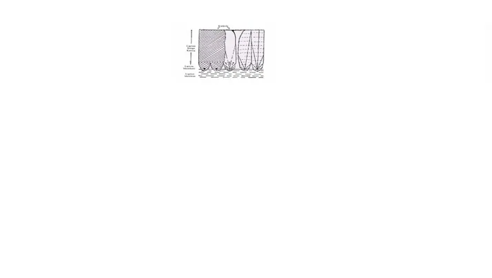 Gambar  2.  Diagram  Radial  dari  Kerabang  Telur  (Stadelman  dan  Cotterill, 1977)