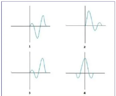 Gambar 2.3 Jenis-jenis wavelet berdasarkan konsentrasi energinya, yaitu mixed phase  wavelet (1), minimum phase wavelet (2), maximum phase wavelet (3), dan zero phase 