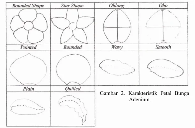 Gambar  2.  Karakteristik  Petal  Bunga  Adenium 