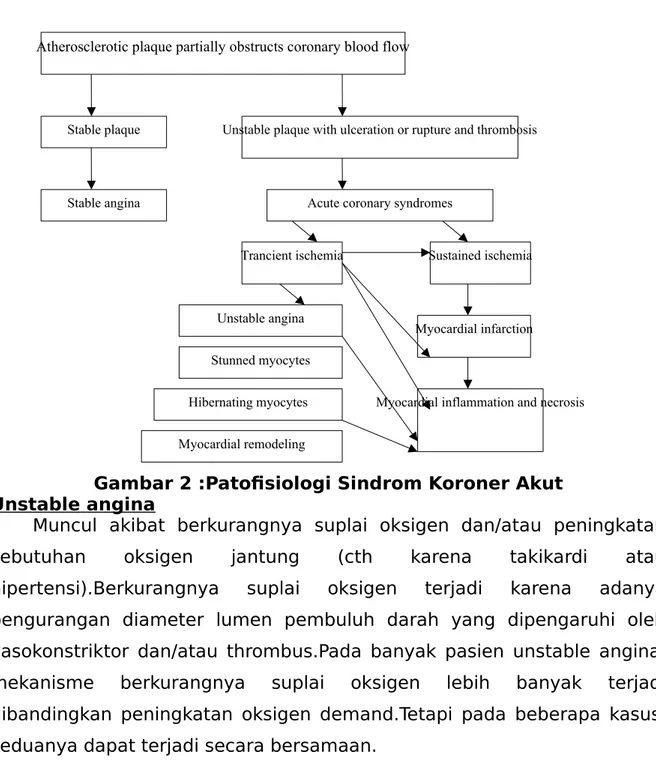 Gambar 2 :Patofisiologi Sindrom Koroner Akut Unstable angina