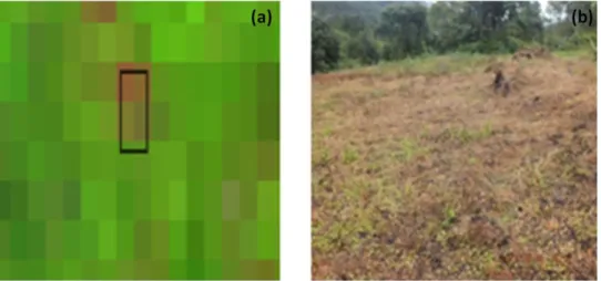 Gambar  9.Penampakan  visual  citra  Landsat  8  OLI  untuk  tipe  tutupan  lahan  lahan  terbuka  pada  RGB  6-5-4  (a),  Kondisi  tipe  tutupan  lahan  terbuka existing di lapangan (b) 