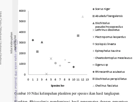 Gambar 10 Nilai kelimpahan plankton per spesies ikan hasil tangkapan 