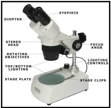 Gambar 1 Mikroskop Polarisasi 1. Kaki mikroskop