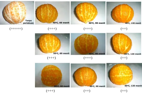 Gambar 14.  Penampakan fisik buah jeruk hasil perlakuan peeling dengan  konsentrasi larutan NaOH 1%  