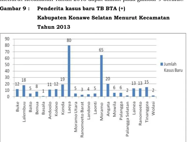 Gambar 9 :   Penderita kasus baru TB BTA (+) 