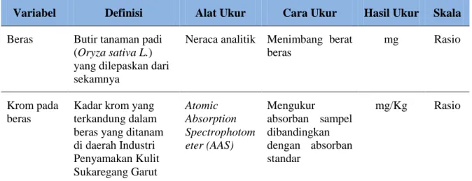 Tabel 2.3 Definisi Operasional 