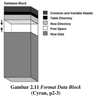 Gambar 2.11 Format Data Block   (Cyran, p2-3) 