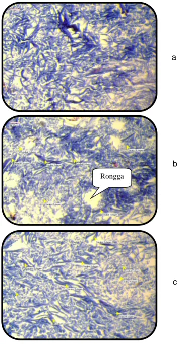 Gambar  3  menunjukkan  bahwa  penggunaan  basa  lemah  (Ca(OH) 2 )  dengan  tiga  jenis  konsentrasi  (3%,  6%  dan  9%)  menunjukkan  adanya  perubahan  struktur  jaringan  serabut  kolagen  pada  kulit  kambing  dibanding  kontrol,  namun  perubahan  ya