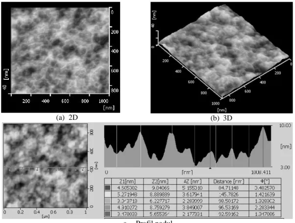 Gambar 1: Gambar AFM analisa morphologi permukaan membran PES original.